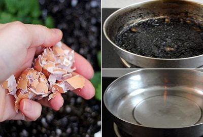 Tưởng chỉ để vứt đi, ít ai biết rằng vỏ trứng có thể tẩy sạch chiếc nồi bị cháy đen