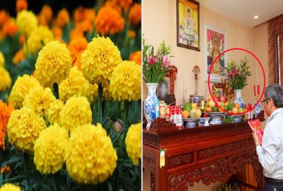 5 loại hoa tuyệt đối không đặt lên bàn thờ ngày Tết kẻo mất hết tài lộc, mang điềm xấu vào nhà