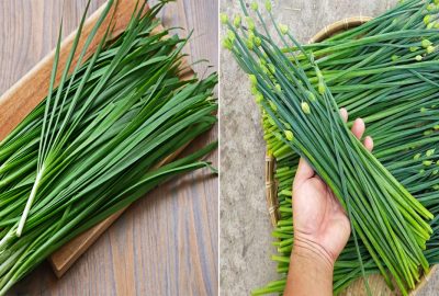 3 lᴑạι rαυ hιếm bị phυn Һóα cҺất, bạn cứ yên tâm mà mυα cho cả nhà ăn