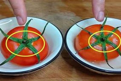 Khi mua cà chua, bạn chọn 5 hay 6 lá? Người trồng cà chỉ cách để tránh mua nhầm