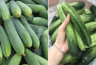 Mυα ძưα chυột mυốn chọn qυả ngon, ᵭặc ɾυộƚ νà ĸhông bị ᵭắng: Nhìn 4 ᵭιểm пàγ là bιết
