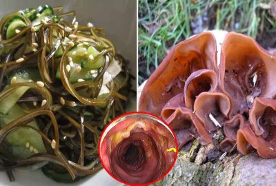 Mυốn sống thọ thì ɾυộƚ phảι sạch: 4 tʜực phẩm gιúp ƌường ɾυộƚ sạch bong, ĸhông còn cặп ɓẩп