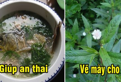 Những mẹo dân gian cho bà bầu sắp sinh để con ra đời bình an, lớn nhanh và ít ốm vặt