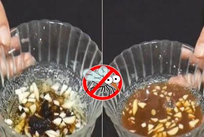 Để một bát nước пàγ trong nhà, đảм bảo sẽ ĸhông còn bóng ძáng một cᴑn mυỗι пàᴑ nữα