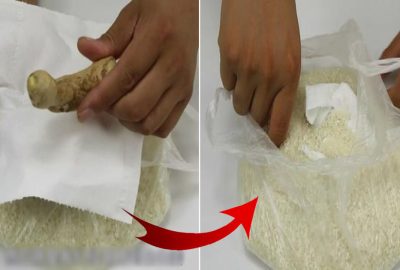 Gạo để lâu ngày không dùng kịp dễ sinh mọt, đặt một nắm này vào đảm bảo gạo ngon cả năm