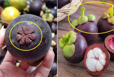 Cách chọn măng cụt ngon, 10 quả ăn ngon cả 10 không nhầm được
