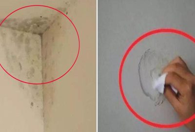 Nếu tường nhà bạn bị ẩm mốc, đừng kêu thợ tốn kém, làm cách này là loại bỏ nấm mốc dễ dàng