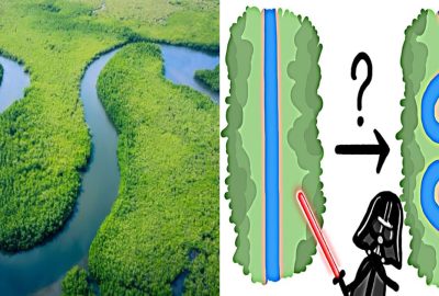 Giải mã vì sao các dòng sông lại không bao giờ chảy theo đường thẳng?