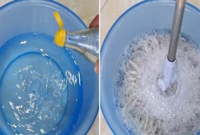 Lau nhà với nước giống như không lau, đổ một ít nước này vào, lau 1 lần sạch thơm cả tuần