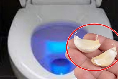 Thả 1 tép tỏi thả vàσ bồn cầu: biết được công dụng đặc biệt, ai cũng muốn học theσ