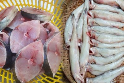 Đi chợ nếu thấy 5 loại cá này thì nhanh tay mua ngay: Cá sạch thuần tự nhiên lại bổ dưỡng