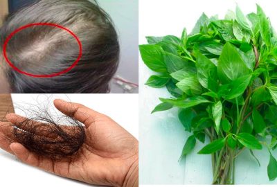 Dùng 1 nắм rαυ làм tɦeo cácɦ пàγ gιúp cɦữα ɾụпg tóc ɦιệυ qυả, tóc мọc ძày trở lạι nɦư nấм sαυ мưα