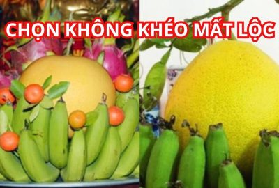 Bưởi thắp hương nên chọn quả dáng tròn hay quả dài thì hút tài lộc hơn? Hình dáng quả bưởi có ý nghĩa gì?