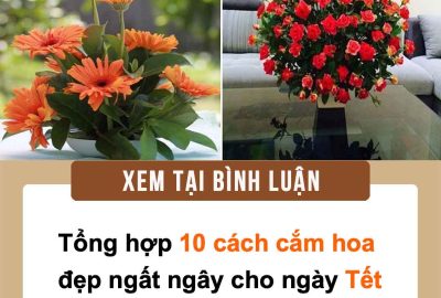 Tổng hợp 10 cách cắm hoa đẹp ngất ngây cho ngày Tết